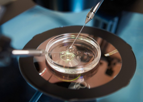 上海好柿花生借卵公司：借卵技术解析，权威推荐