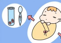 好柿花生上海助孕公司：助孕服务解析，