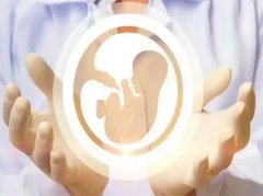 上海好柿花生试管婴儿：高龄女性如何提高成功