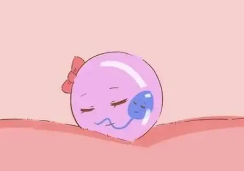 好柿花生上海:试管婴儿技术如何保障安全性?