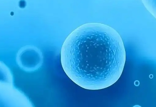 上海好柿花生：试管婴儿服务的最新进展