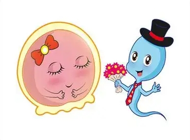 上海好柿花生借卵中心:借卵流程是否复杂?