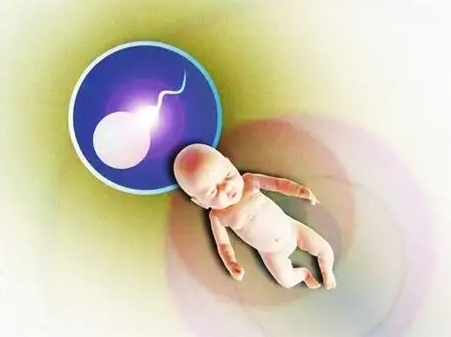 上海好柿花生：试管婴儿费用明细及优惠信息