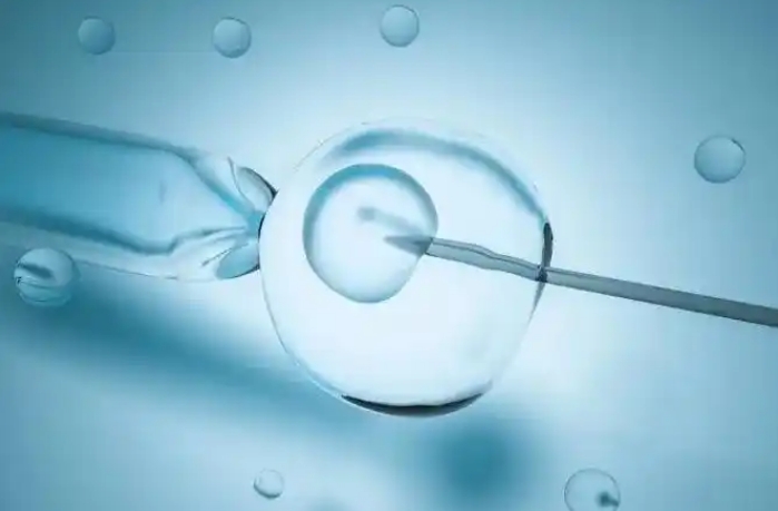 上海好柿花生借卵中心:借卵成功案例分享